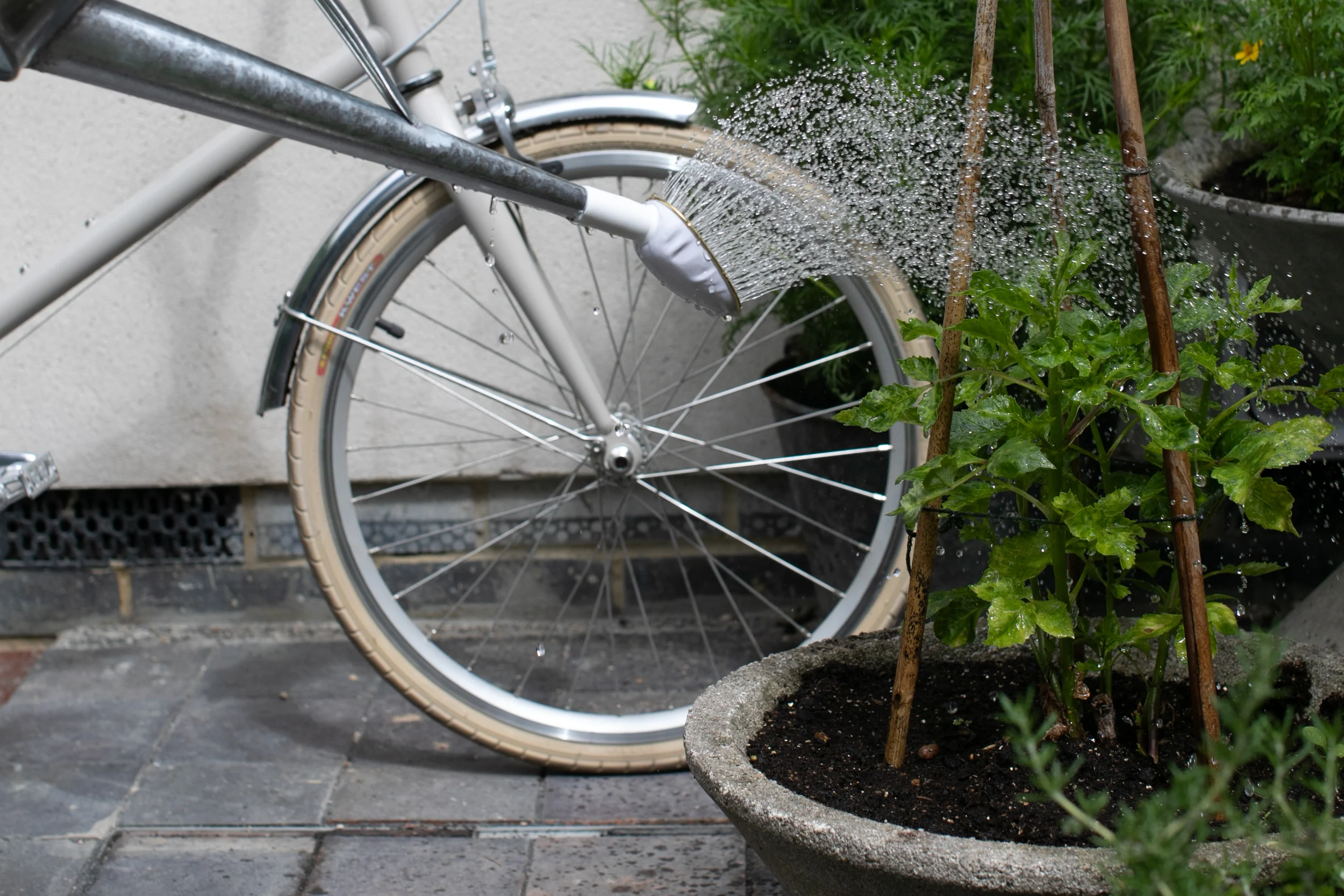 Welcome to Our Store